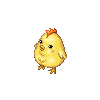 File:Old Hen.gif