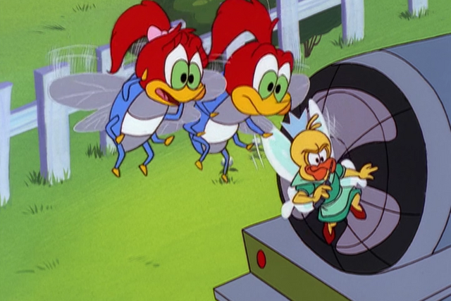 File:Photo5.png