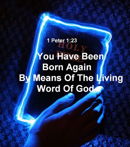 File:Ts-neon-bible.jpg