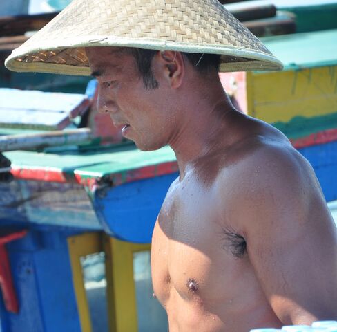 File:3627574.jpg