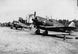 CAC Boomerangs