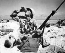 Tarawa Marine, 1943
