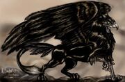 Night Griffin Vyraska