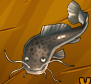 Collection-Catfish