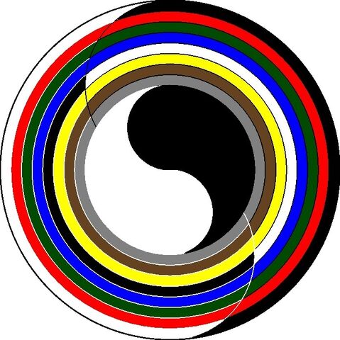 File:Aes Sedai Ajahs.jpg