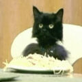 Thumbnail for version as of 18:27, May 24, 2011