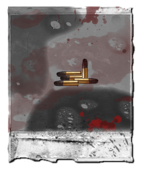 File:22LR.png