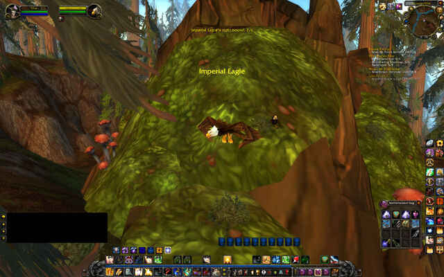 Fil:Wotlk dag7 eagle.jpg