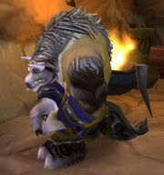 Gamon.jpg