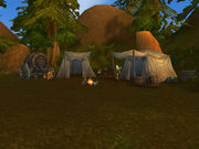 Shindigger's Camp.jpg