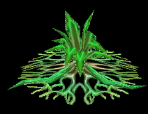 Stranglekelp.png