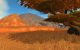 Barrens5-727051.jpg