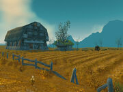 Furlbrow's Pumpkin Patch.jpg