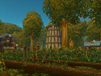 Maclure Vineyards.jpg