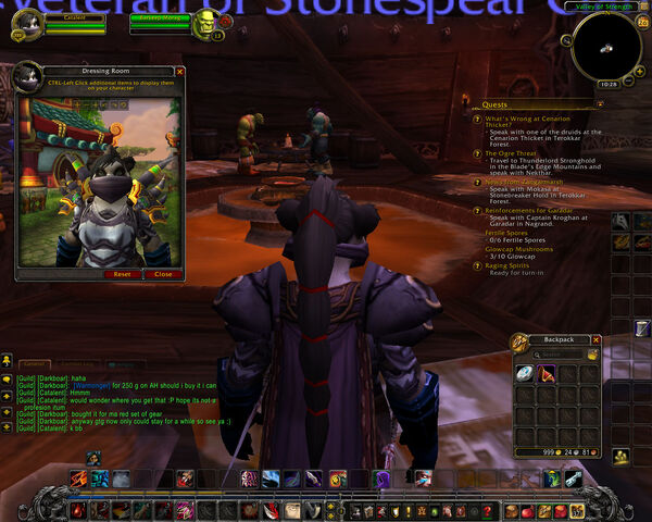 File:Felheart Shoulder Pads( Warlock).jpeg