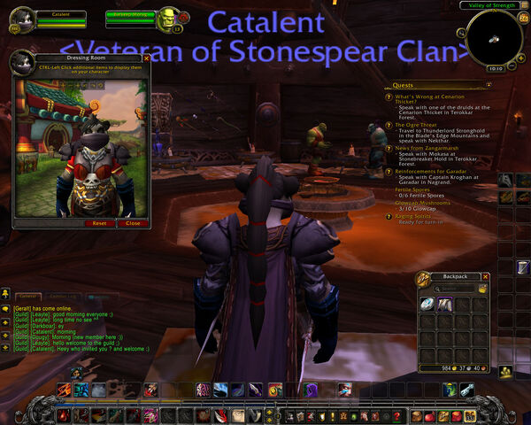 File:Giantstalker's Breastplate(Hunter).jpeg