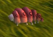 Imperial Silkworm