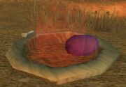 Red Raptor Nest