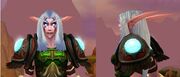 Gladiator's Dragonhide Spaulders