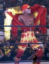 Hulk Hogan