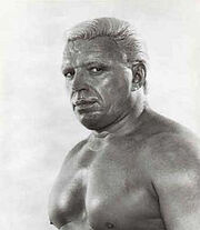 Tarzan Tyler