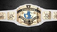WWE IC Title 2013