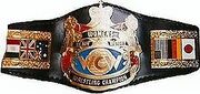 WCW Womens Championship