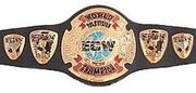 ECWworldtvbelt