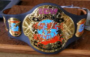 ECWchampbelt.jpg