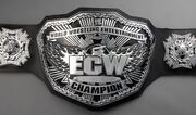 Ecwbeltkg9.jpg