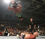 Rvd holly3.jpg
