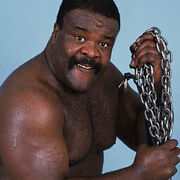 0626 junkyard dog full.jpg