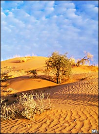 Sand dunes spl 203.jpg