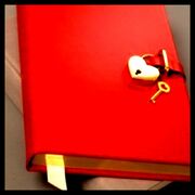 Diary1
