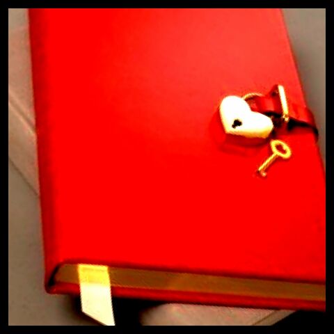 File:Diary1.jpg