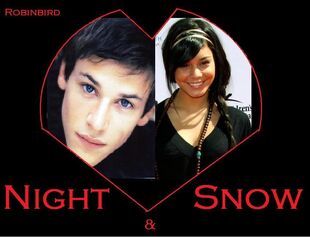Night and Snow