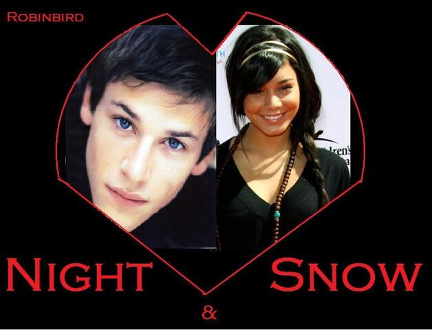 File:Night and Snow.jpg