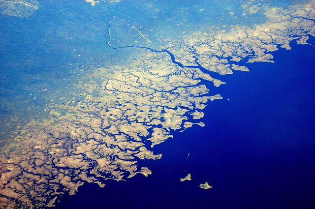 File:Fractals-in-nature-a-shoreline.jpg