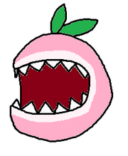 Meach