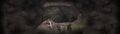 Thumbnail for version as of 23:19, January 1, 2012