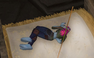 NarvahNap