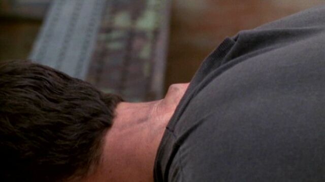 File:Knowle Rohrer's neck (side).jpg