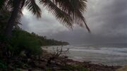 Puerto Rico, 1994