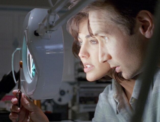 File:Mulder and Berenbaum inspect robotic cockroach.jpg