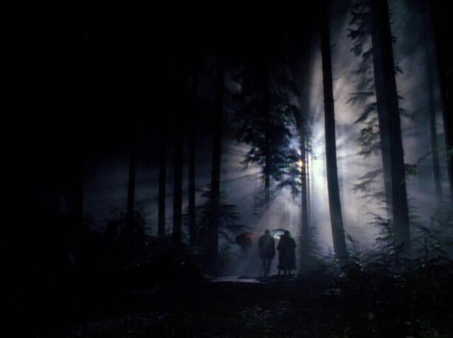 File:Forest.jpg