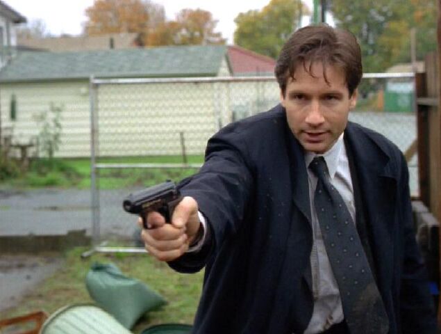 File:Walther PPK Mulder.jpg