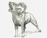 Two-headed dog (concept art)
