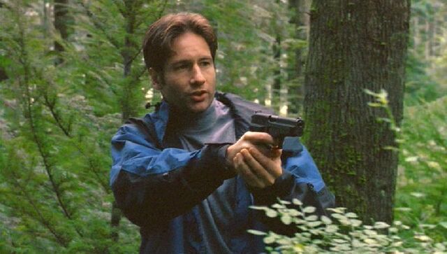 File:SIG-Sauer P226 Mulder.jpg