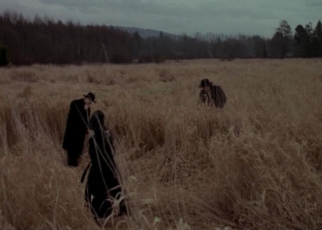 File:Kindred Fields.jpg