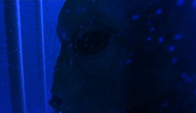 File:Long-clawed alien underwater.jpg